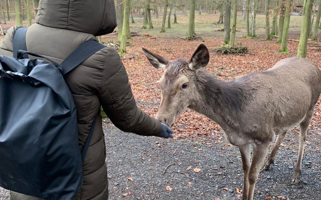 Ausflug in den Wildpark Knüll